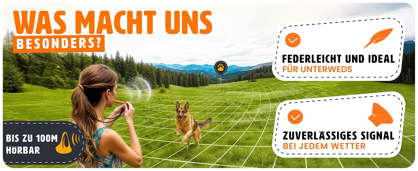 ENERO – A+ Content Modul 2